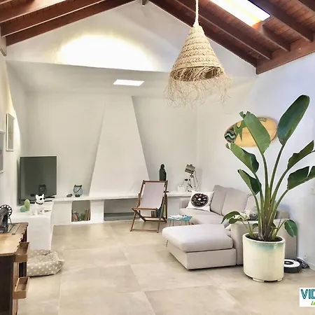 Loft Big Dream تياس